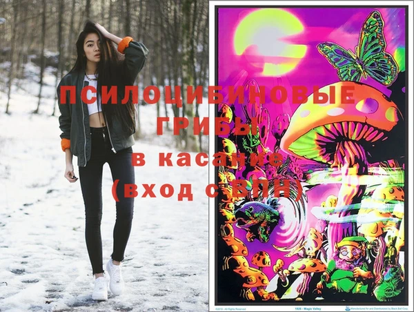 амф Абинск