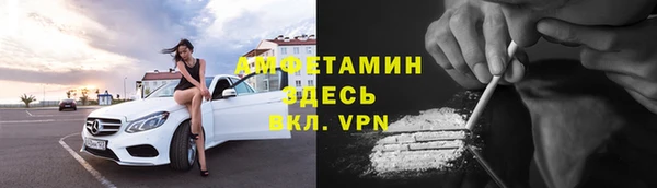 крисы Абаза