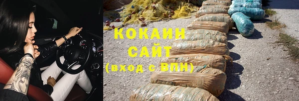 крисы Абаза