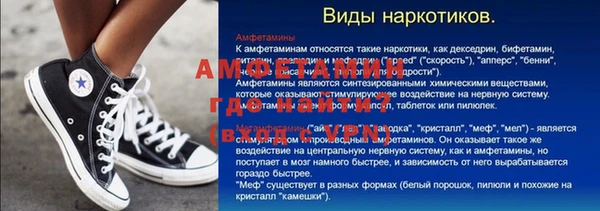 крисы Абаза