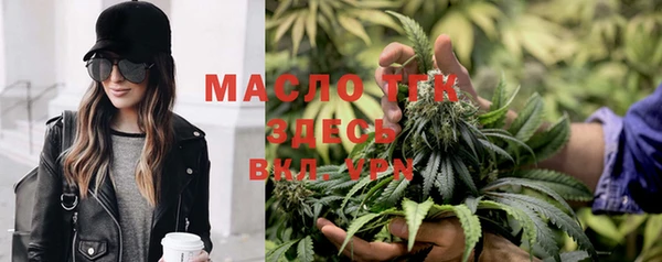 крисы Абаза