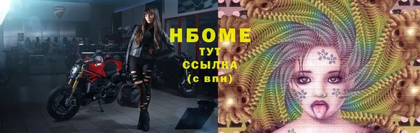 крисы Абаза