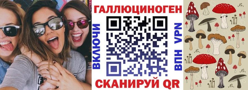 закладки  Ангарск  Псилоцибиновые грибы мицелий 